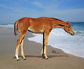sandy05