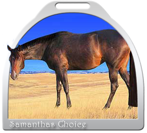 Samanthas Choice