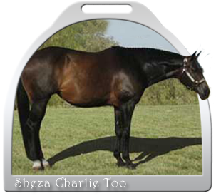 Sheza Charlie Too