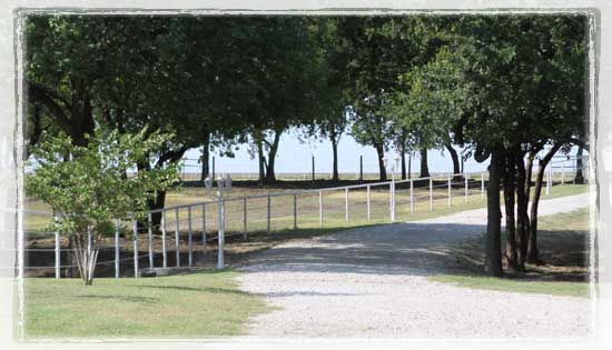 Seaside Farm