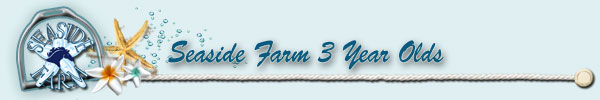 SSF